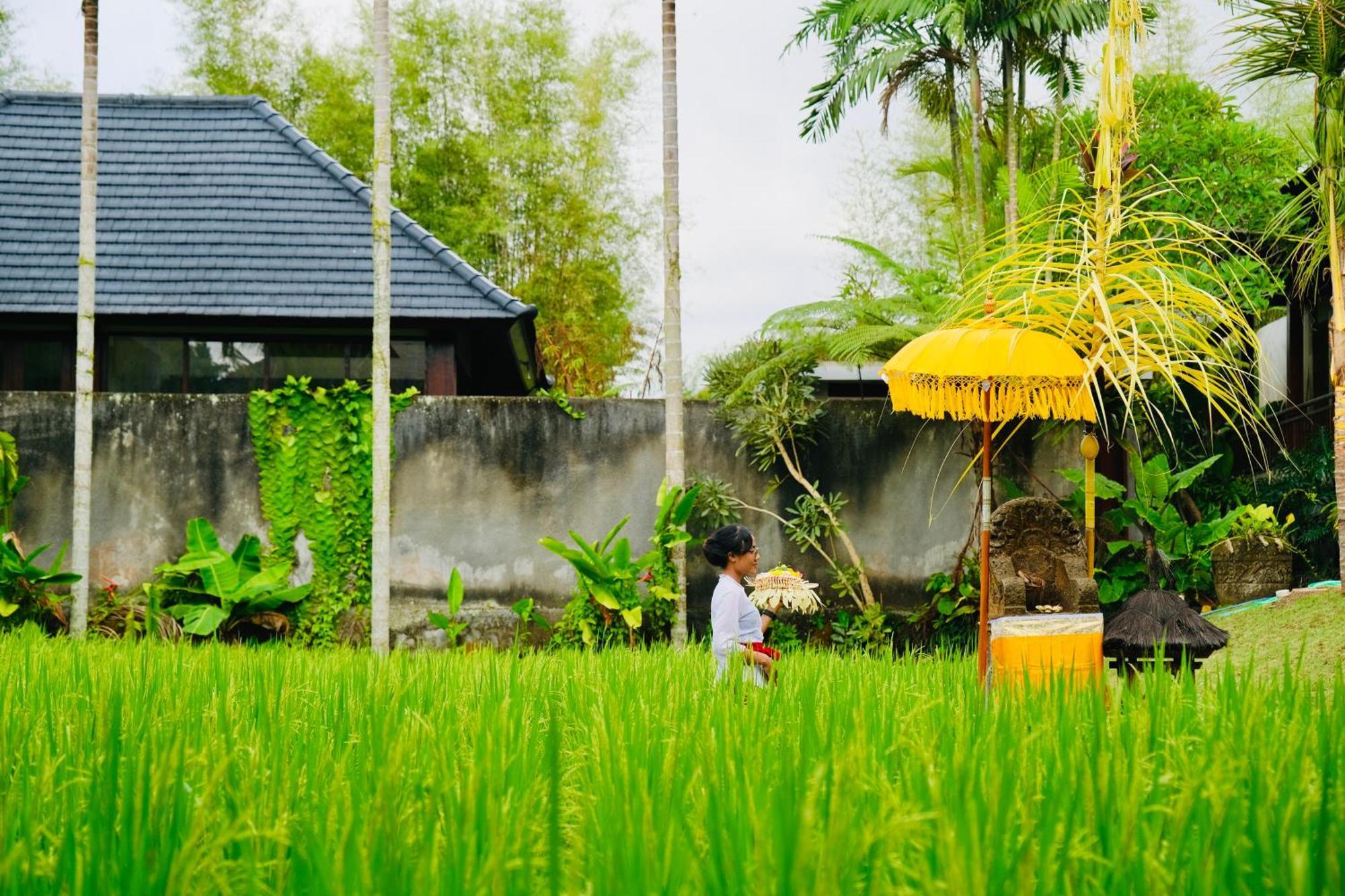Wana Karsa The Villas Ubud Bagian luar foto